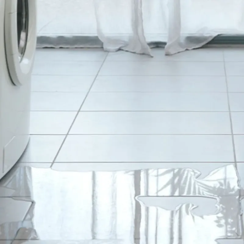 Appliance Leak Cleanup in North Pole, AK