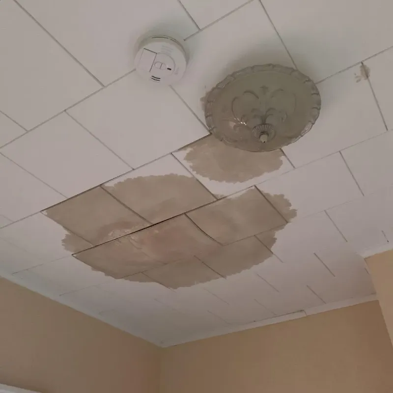 Ceiling Water Damage Repair in North Pole, AK